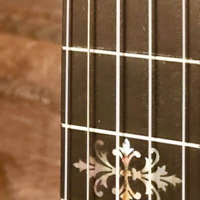 FARLAND Artist's Grand Number 2 Five String Banjo SALE PENDING DO NOT BUY image 23