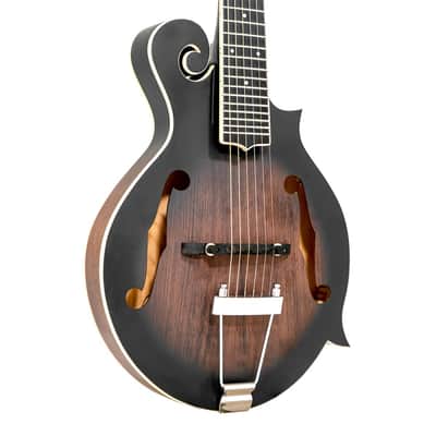 GOLD TONE F-6 Gitarren-Mandoline image 3