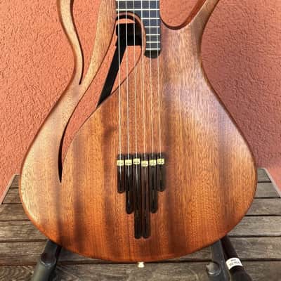 Paradis  Avalon ElectricAvalon Electric Acoustic Nylon String Guitar Polyphonic Acoustic image 1