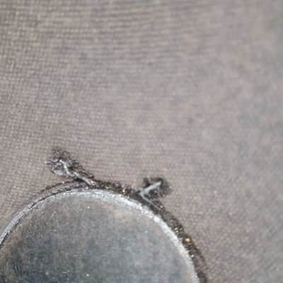 Vintage Cts 15" Ampeg speakers image 3