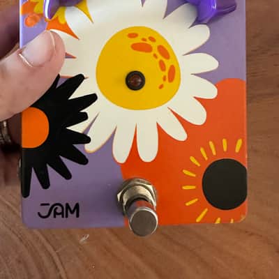 Pro Tone Pedals Misha Mansoor Bulb Deluxe Signature Overdrive | Reverb