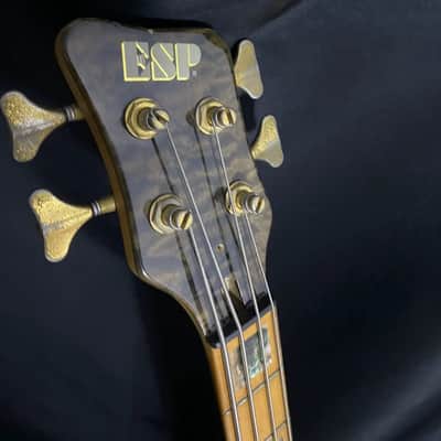 ESP custom image 4