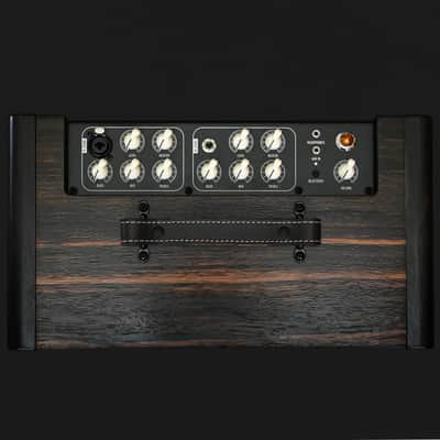 Taylor Circa 74 Amp - Macassar Ebony (C7402897) image 6