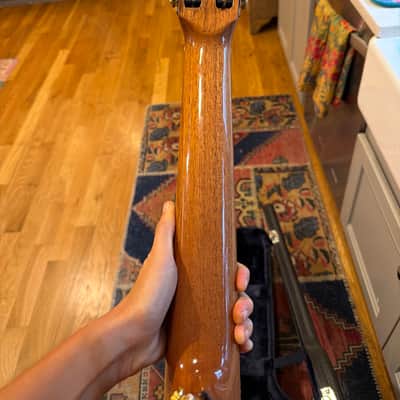 Cordoba España 45 Limited Spruce/Exotic Ebony Classical 2010s - Natural image 4