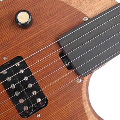 Special Steel String Electric Oud RaksOud Mat image 6
