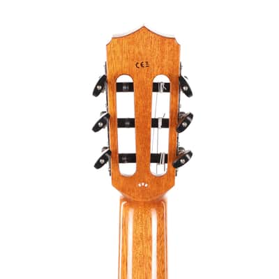 Cordoba Fusion 12 Orchestra CE Nylon Acoustic-Electric 2021 image 5