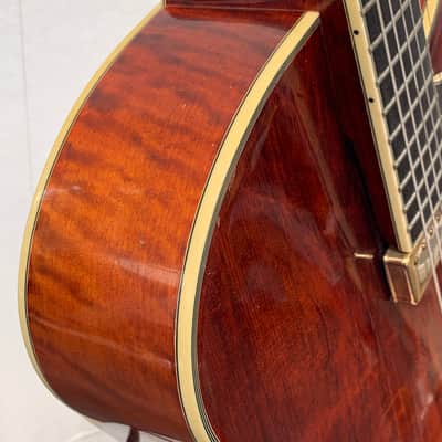 Eastman AR810CE – 2010 image 4