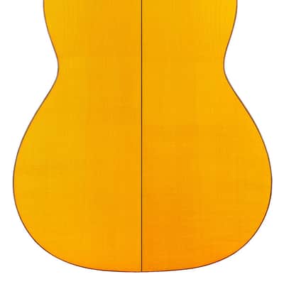 Cordoba 45 FP Flamenco Guitar Spruce/Sycamore image 8