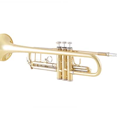Bach BTR301 Premium Trumpet Outfit image 2