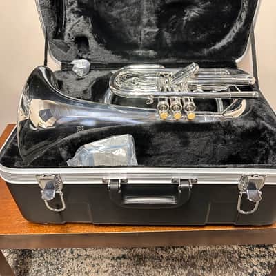 Eastman EMB411 2022 - Silver Plated image 2