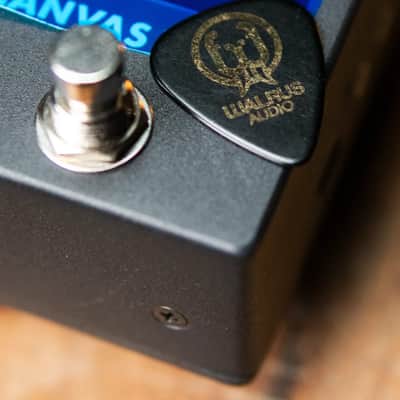 Walrus Audio Canvas Tuner image 6