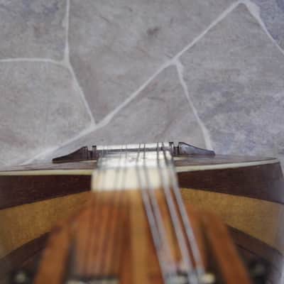 fine vintage MIGMA all solid luthier Wunderlich quality 8string bowlback MANDOLIN Germany image 12