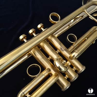 Adams a4Lt 5,5 inch bell Marcus Bona case GAMONBRASS case mouthpiece image 10