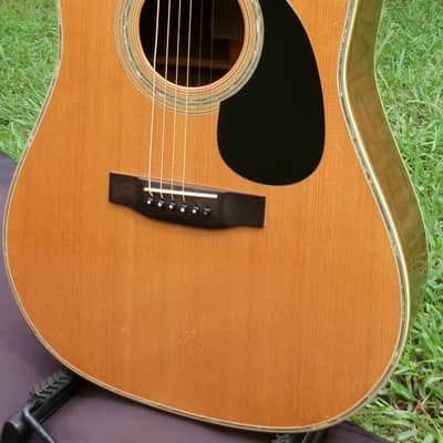 1975 Yairi YW-600 Dreadnought Guitar New Jacaranda Natural+Vintage Hard Case image 2