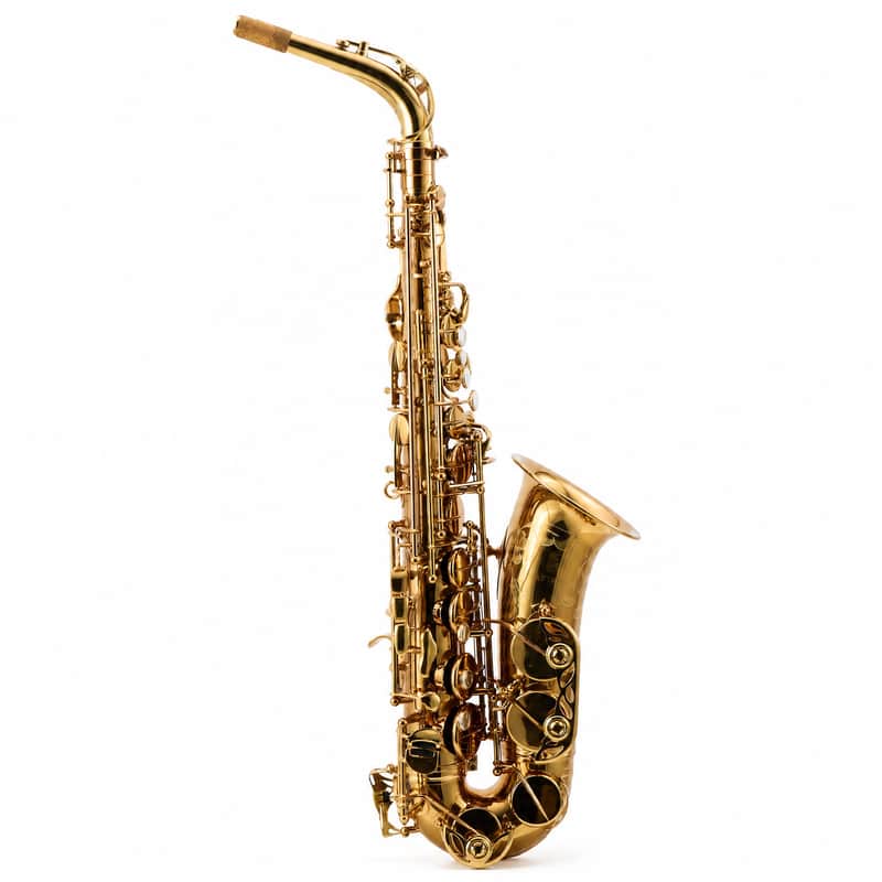 Eastman EAS850 'Rue Saint-Georges' Professional Alto Saxophone SN A2440262 image 1