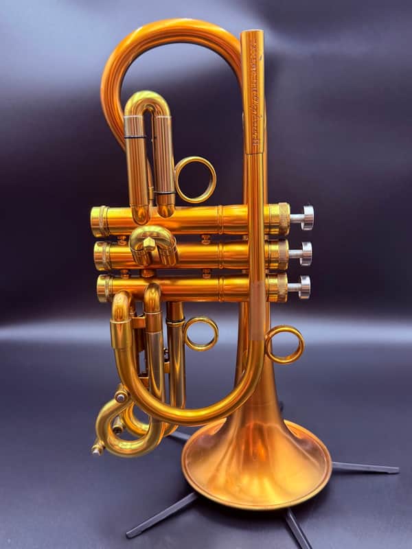 Taylor Orpheus II 2000’s - Gold Lacquer image 1
