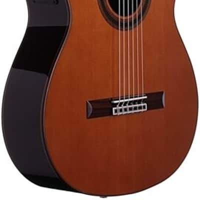 Cordoba C7-CE CD/IN Classical Acoustic-Electric Guitar, 50mm Nut Width image 3