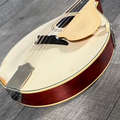 Gibson A-3 Mandolin 1919 - Ivory Top image 4