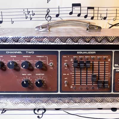 FBT Elettronica Super Guitar 250. Built into homemade box. image 3