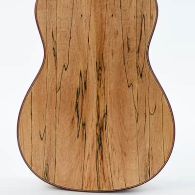 Cordoba 24B Spalted Maple Spruce Baritone Ukulele image 8