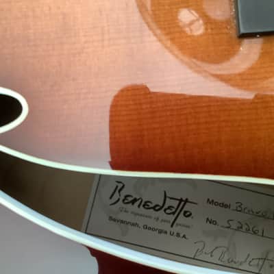 Benedetto Bravo Deluxe 2015 - Opulent brown image 15