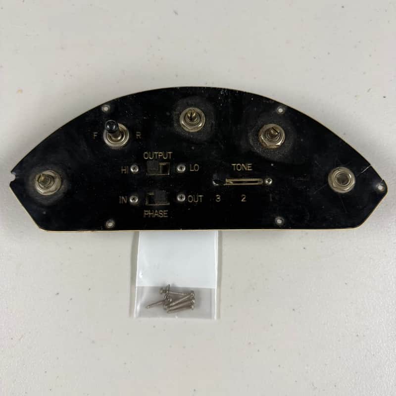 Gibson Les Paul Triumph or Recording Bass Complete Control Plate (E-327) image 1