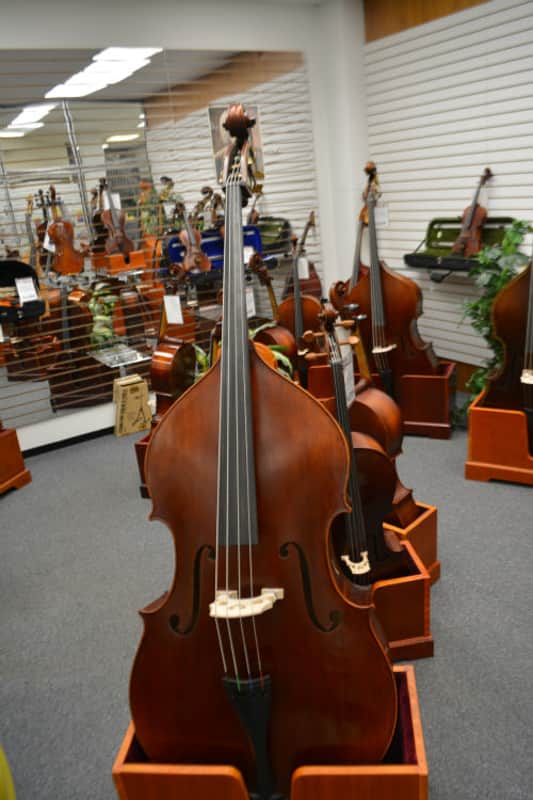 Vienna Strings Munich 3/4 Bass Shaded Walnut image 1