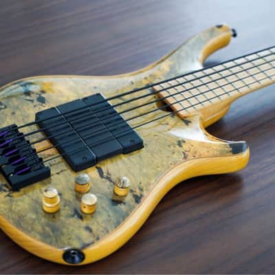 Roscoe Custom SKB 5 Electric Bass image 1