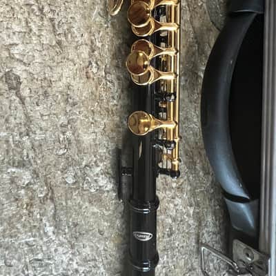 Piccolo with gold color keys,  with case image 3