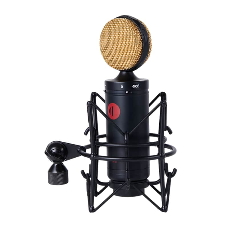 Direct Sound DS-60 Large Diaphragm Condenser Microphone image 1