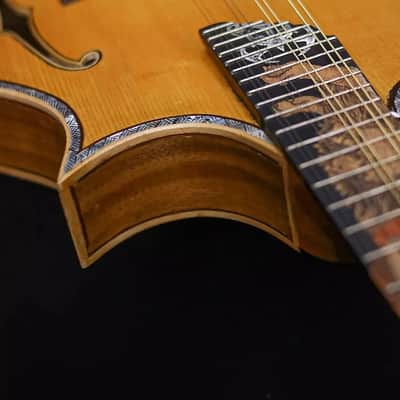 Blueberry Handmade Mandolin F-Style Devil Motif image 13