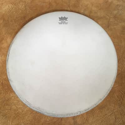 Remo Banjo Head Coated Top - Medium Collar 11"