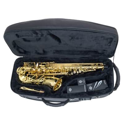 Selmer Alto Sax - Serie II in Gold Lacquer w/Engr image 4