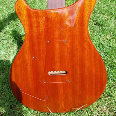 PRS Paul's Guitar Private Stock #9268 CITES image 3