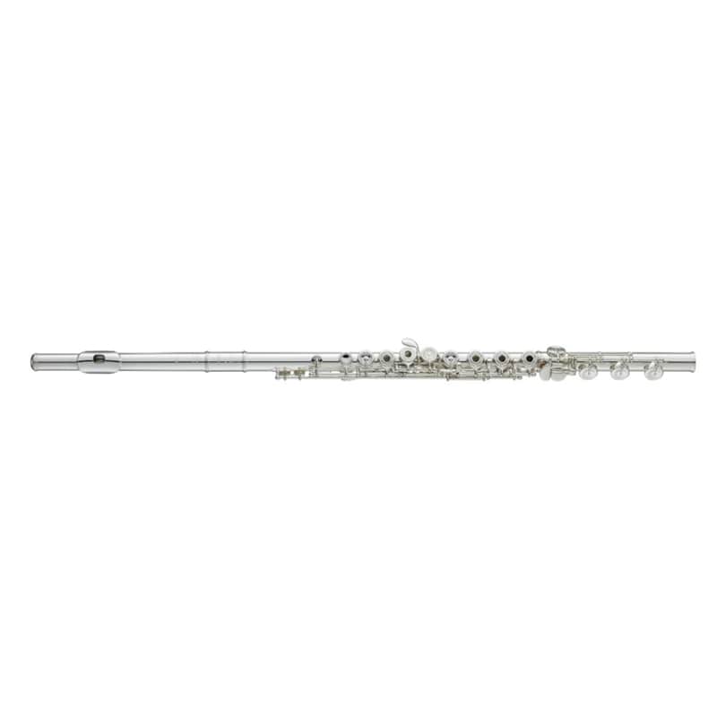 Yamaha YFL-677HCT Professional Flute, Solid Silver with Split E, B Foot, C# Trill