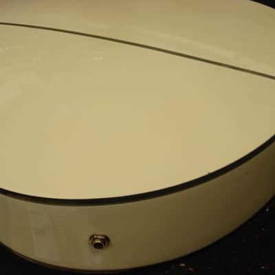 Washburn EA20WH Festival Series Acoustic/Electric Guitar white image 4