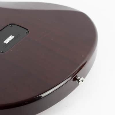 Taylor SB-1 Solidbody Standard 2007 Aged Cherry Sunburst image 14