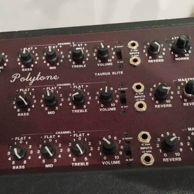 Polytone TAURUS ELITE 125w Amp image 6