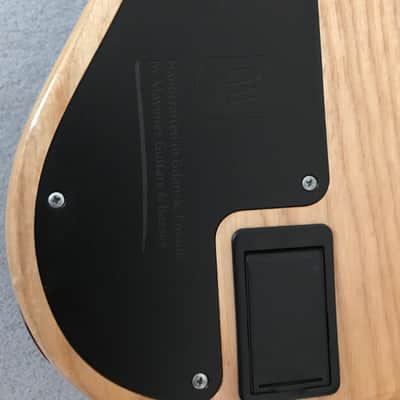 Mayones Jabba Custom 4 2017 Eye Poplar image 6