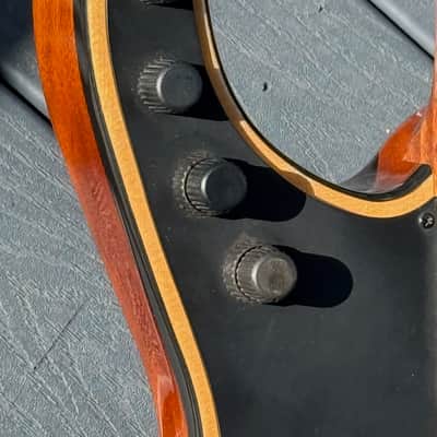 Citron AE-4 Swallow Bass 2009  - killer all around invention from Harvey Citron of Velette-Citron Basses. image 13