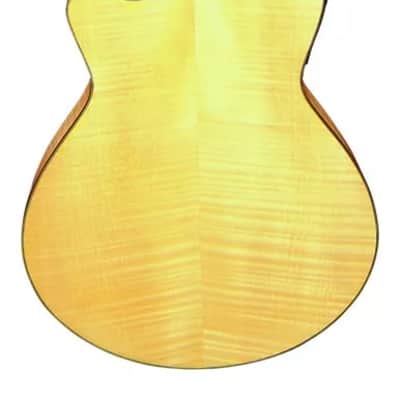 Guvnor Electro Acoustic Guitar Folk Style GA755CE Cutaway Solid Top Z-00 image 4