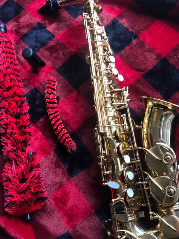 Glenn Edward (Selmer) AL-101G-397 Student Alto Saxophone image 1