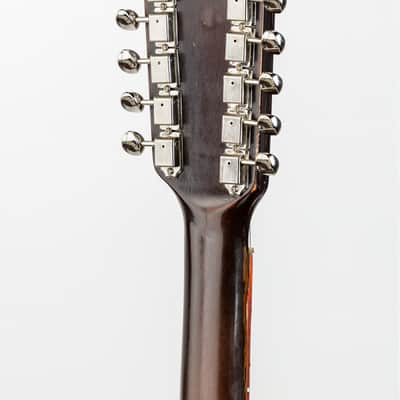 Harvester Guitars Double Cut Dozen, Recycler Series 12 String, 2022, NEW (Authorized Dealer) image 7