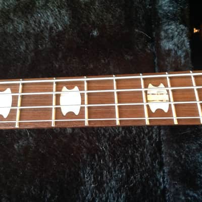 Spector Rebop DLX EX 2008 Zebra wood image 9
