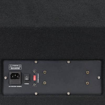 Premium Powered 2-Way 10" PA Floor Monitor with Titanium Horn - Active Monitor image 5