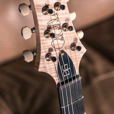 PRS Wood Library DGT 10 Top in Satin Purple Charcoal Wrap Burst image 6