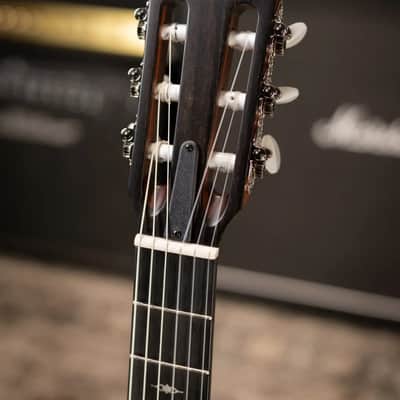 Taylor 312ce-N Nylon Grand Concert Acoustic/Electric Guitar with Hardshell Case image 5