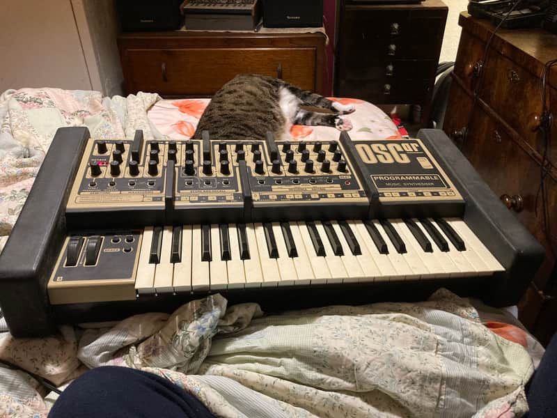 Oxford Synthesizer Company Oscar midi 1984 - Cream/black image 1