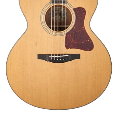 Collings SJ Mh Guitar #36504 image 1