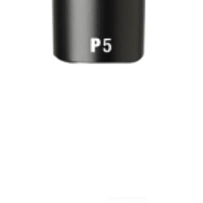 AKG P5 S High-Performance Dynamic Vocal Microphone With On/Off Switch image 1